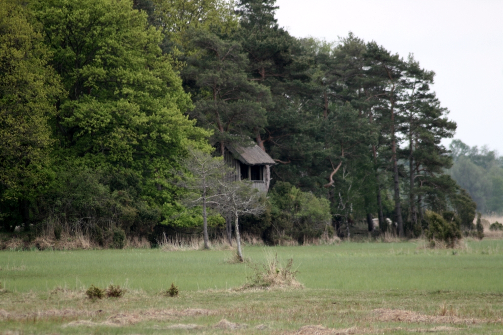 VWG vogelreis Oost Duitsland mei 2010 538